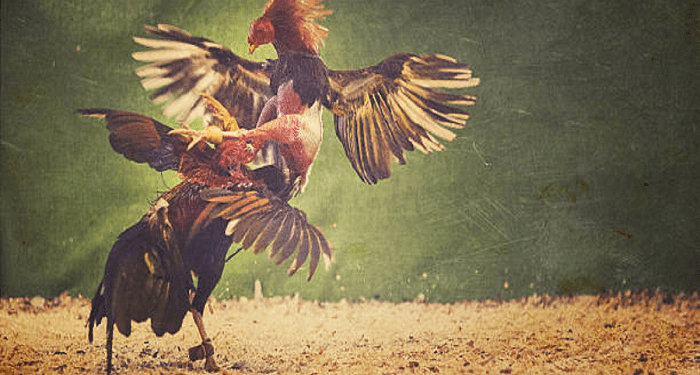 A Newbie’s Guide of How to Register For WPC2027