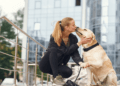Finding the Best Pet-Friendly Apartments in Oakland, CA