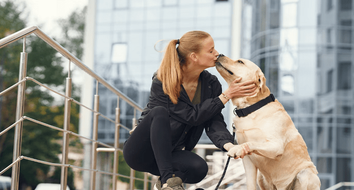 Finding the Best Pet-Friendly Apartments in Oakland, CA