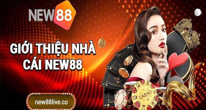 What is Lotto and What Players Need to Know