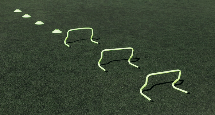 How Long Before Turf Lines Disappear