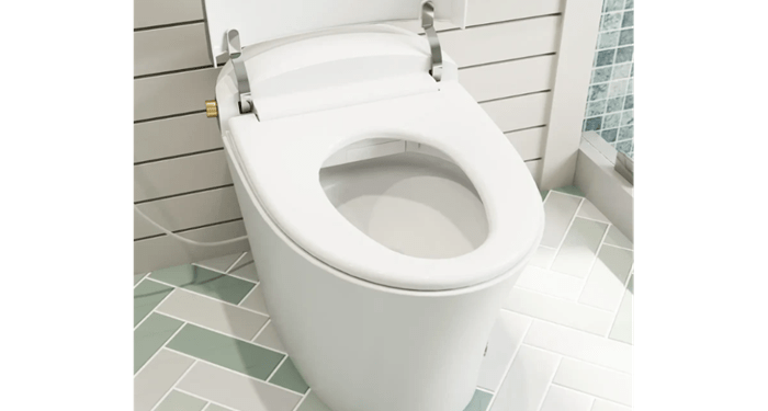 Experience Luxury and Efficiency with the Horow Bidet with Dryer