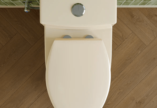 Horow T0338WBC One-Piece Toilet: Elegance Meets Efficiency